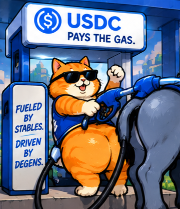 Cat fueling a donkey with USDC